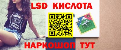 винт Можга