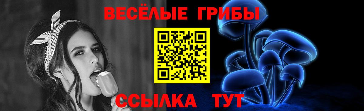 купить  цена  Галлюциногенные грибы Psilocybe  Вход с VPN  Семилуки  Галлюциногенные грибы Cubensis 